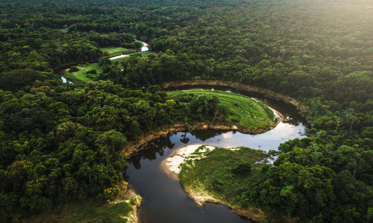 Amazônia-brasileira-